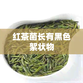 红茶菌长有黑色絮状物