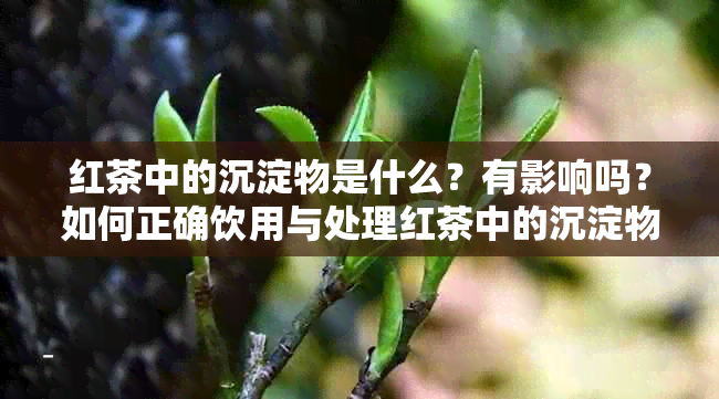 红茶中的沉淀物是什么？有影响吗？如何正确饮用与处理红茶中的沉淀物？