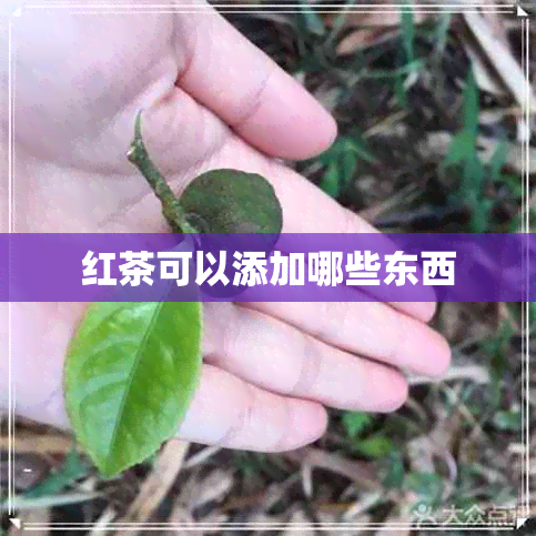 红茶可以添加哪些东西