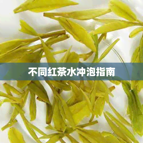 不同红茶水冲泡指南