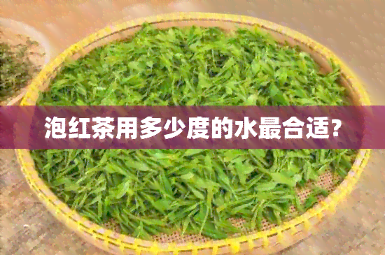 泡红茶用多少度的水最合适？