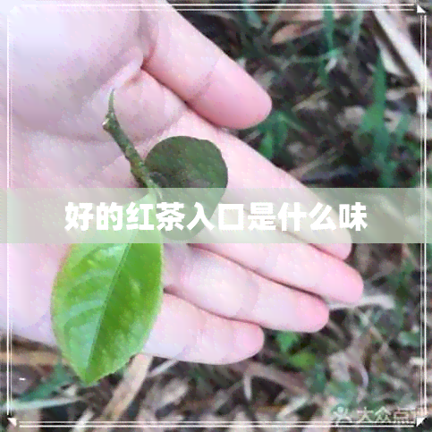 好的红茶入口是什么味