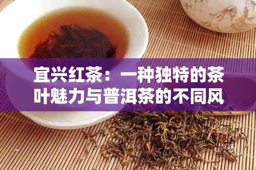 宜兴红茶：一种独特的茶叶魅力与普洱茶的不同风格