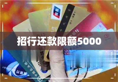 招行还款限额5000