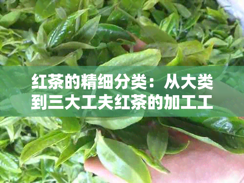 红茶的精细分类：从大类到三大工夫红茶的加工工艺探究