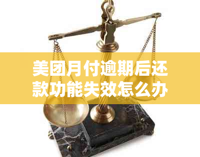 美团月付逾期后还款功能失效怎么办？全面解决方案助您轻松应对