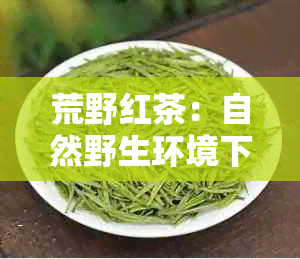 荒野红茶：自然野生环境下的独特风味与健益处解析