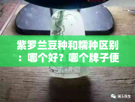 紫罗兰豆种和糯种区别：哪个好？哪个牌子便宜？