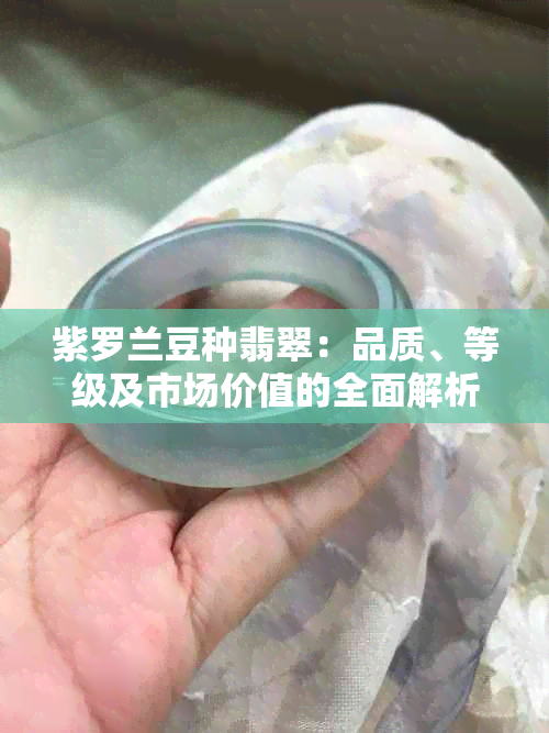 紫罗兰豆种翡翠：品质、等级及市场价值的全面解析