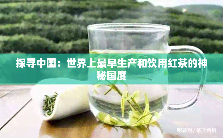 探寻中国：世界上最早生产和饮用红茶的神秘国度