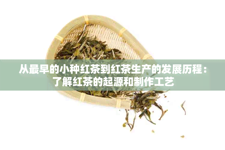 从最早的小种红茶到红茶生产的发展历程：了解红茶的起源和制作工艺