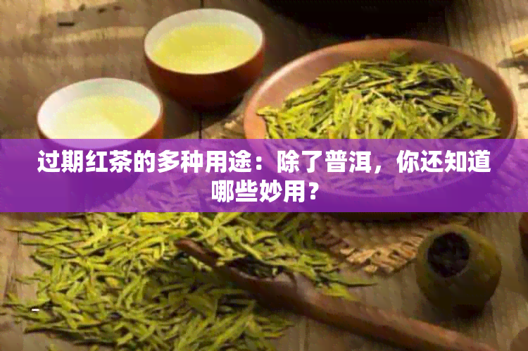 过期红茶的多种用途：除了普洱，你还知道哪些妙用？