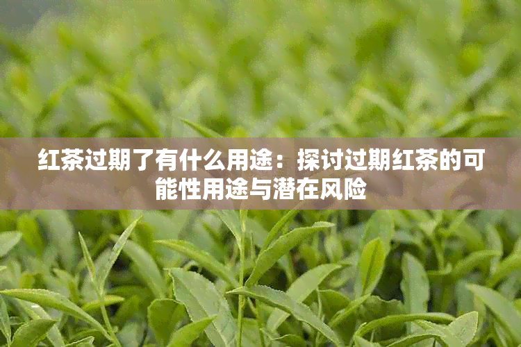 红茶过期了有什么用途：探讨过期红茶的可能性用途与潜在风险