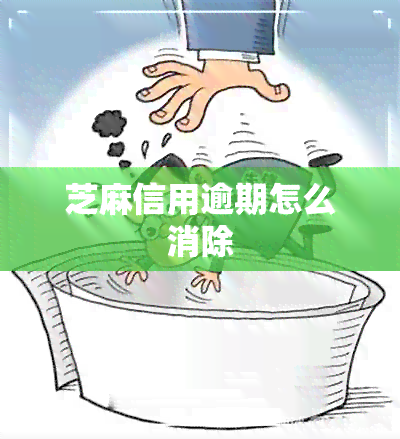 芝麻信用逾期怎么消除