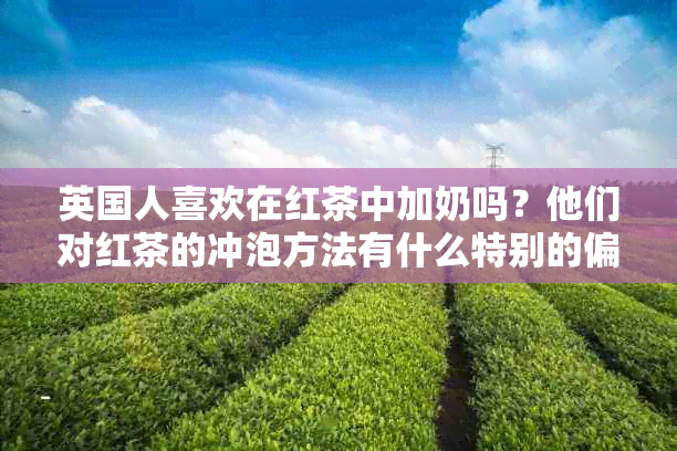 英国人喜欢在红茶中加奶吗？他们对红茶的冲泡方法有什么特别的偏好？