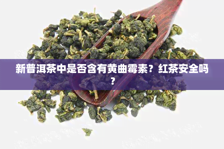 新普洱茶中是否含有黄曲霉素？红茶安全吗？