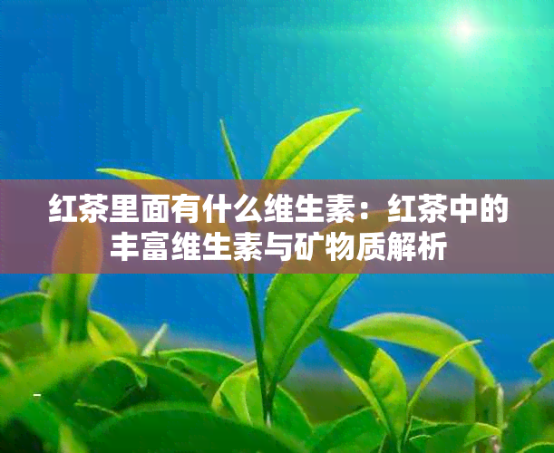 红茶里面有什么维生素：红茶中的丰富维生素与矿物质解析