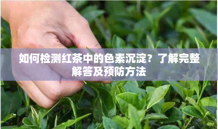 如何检测红茶中的色素沉淀？了解完整解答及预防方法