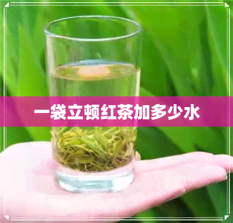 一袋立顿红茶加多少水