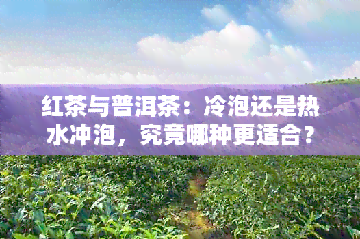 红茶与普洱茶：冷泡还是热水冲泡，究竟哪种更适合？