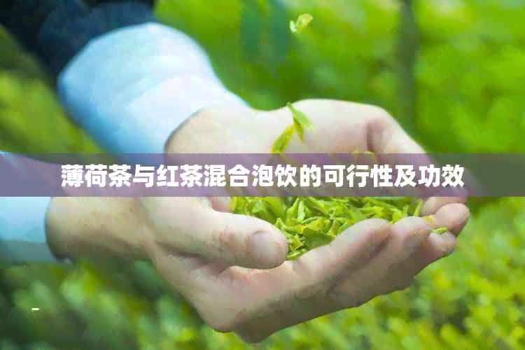 薄荷茶与红茶混合泡饮的可行性及功效