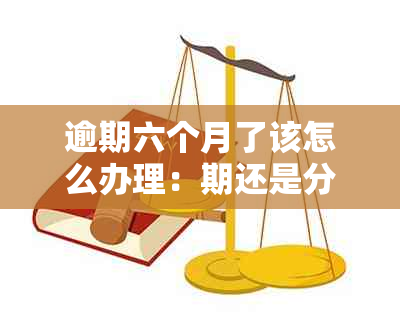 逾期六个月了该怎么办理：期还是分期？后果如何？