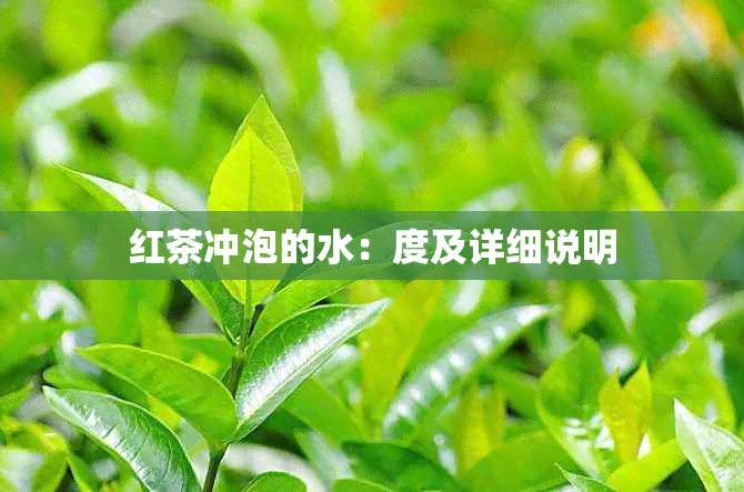 红茶冲泡的水：度及详细说明