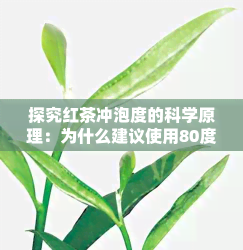 探究红茶冲泡度的科学原理：为什么建议使用80度的水？