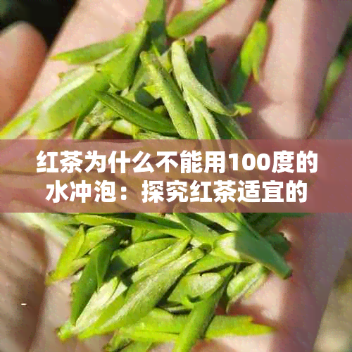 红茶为什么不能用100度的水冲泡：探究红茶适宜的水