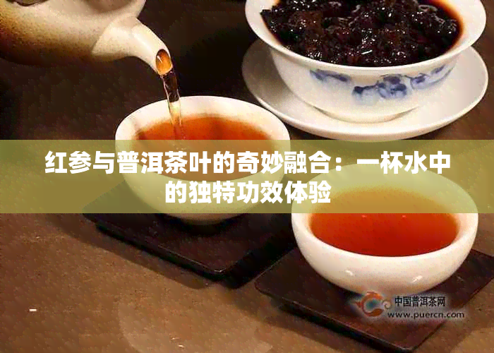 红参与普洱茶叶的奇妙融合：一杯水中的独特功效体验