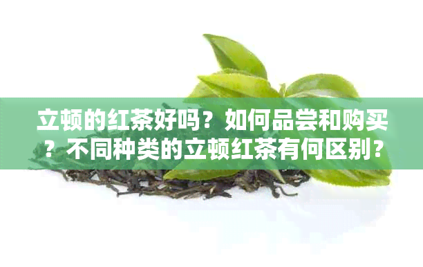 立顿的红茶好吗？如何品尝和购买？不同种类的立顿红茶有何区别？