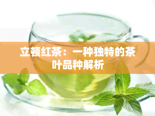 立顿红茶：一种独特的茶叶品种解析