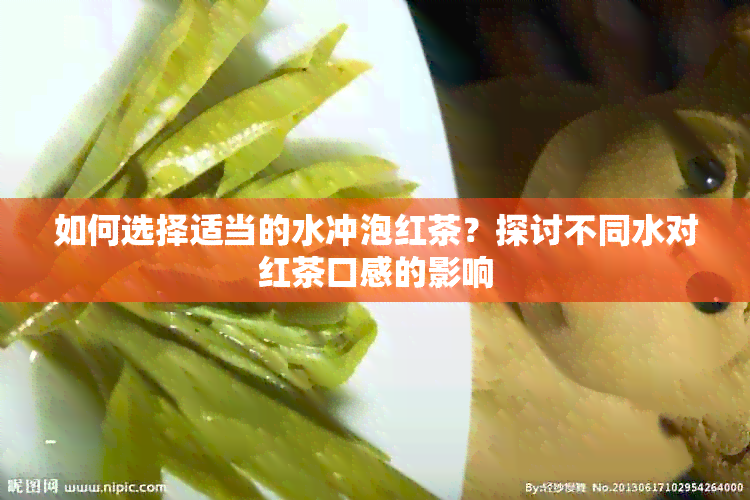 如何选择适当的水冲泡红茶？探讨不同水对红茶口感的影响