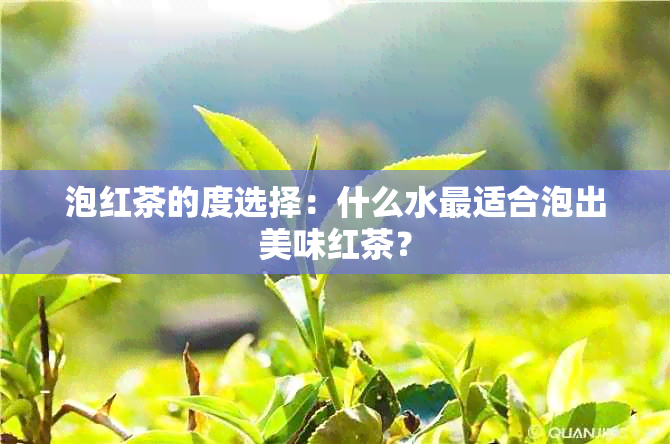 泡红茶的度选择：什么水最适合泡出美味红茶？