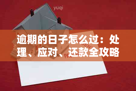 逾期的日子怎么过：处理、应对、还款全攻略