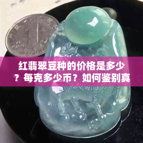 红翡翠豆种的价格是多少？每克多少币？如何鉴别真假？