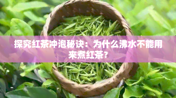 探究红茶冲泡秘诀：为什么沸水不能用来煮红茶？