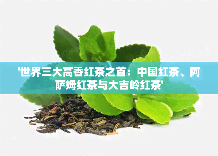 '世界三大高香红茶之首：中国红茶、阿萨姆红茶与大吉岭红茶'