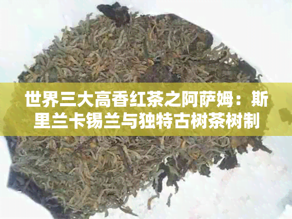 世界三大高香红茶之阿萨姆：斯里兰卡锡兰与独特古树茶树制作技艺的对比