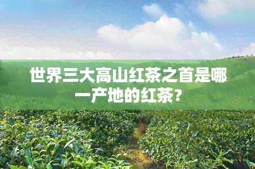 世界三大高山红茶之首是哪一产地的红茶？