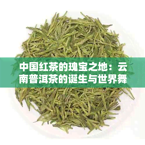 中国红茶的瑰宝之地：云南普洱茶的诞生与世界舞台