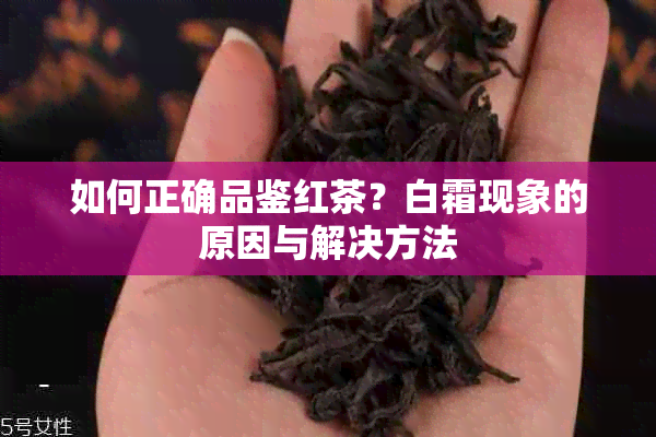 如何正确品鉴红茶？白霜现象的原因与解决方法