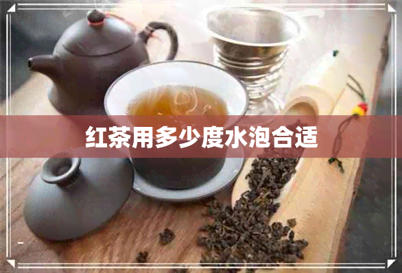 红茶用多少度水泡合适