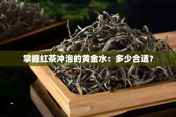 掌握红茶冲泡的黄金水：多少合适？