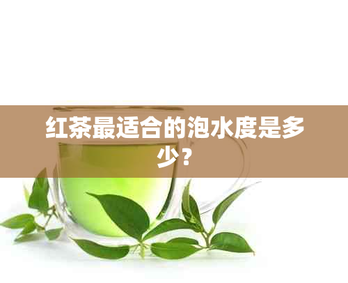 红茶最适合的泡水度是多少？