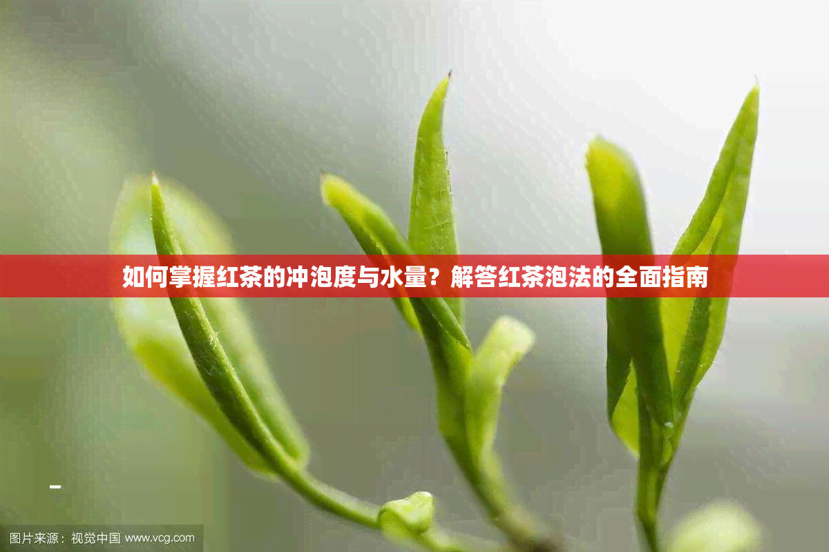 如何掌握红茶的冲泡度与水量？解答红茶泡法的全面指南