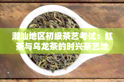 潮汕地区初级茶艺考试：红茶与乌龙茶的时兴茶艺地点探秘