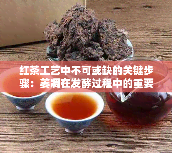 红茶工艺中不可或缺的关键步骤：萎凋在发酵过程中的重要性