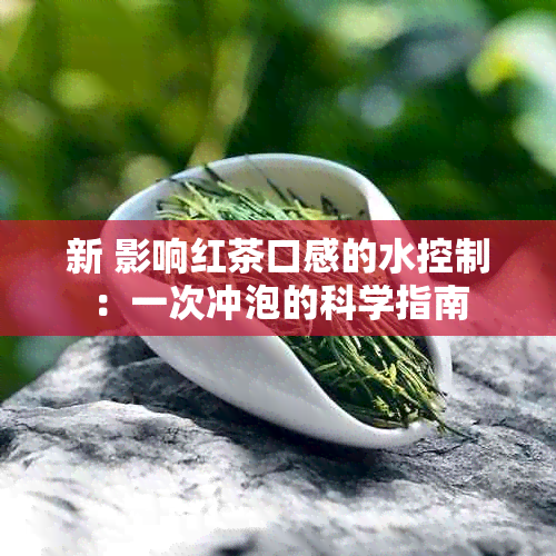 新 影响红茶口感的水控制：一次冲泡的科学指南