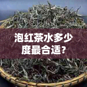 泡红茶水多少度最合适？